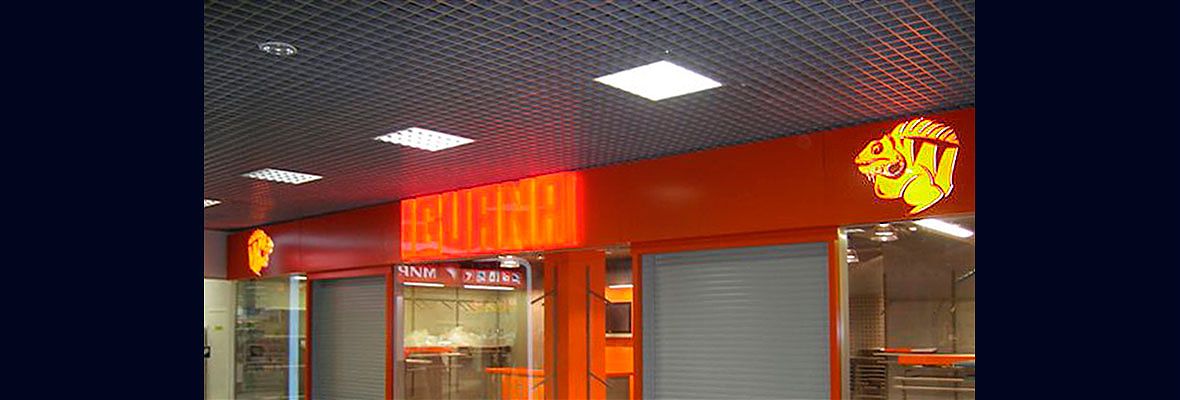 Входная группа магазина &Prime;Игуана&Prime;