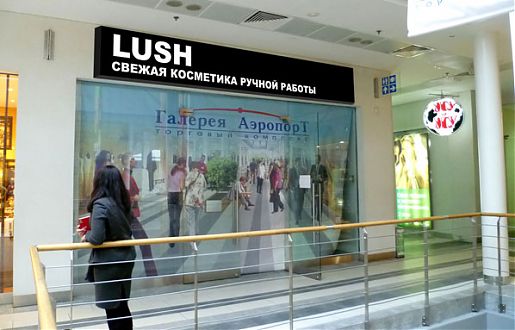 Объемные световые буквы &Prime;LUSH&Prime;